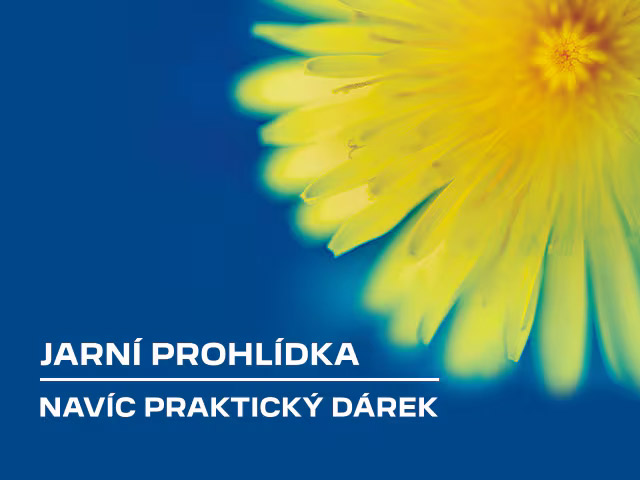 JARNÍ PROHLÍDKA