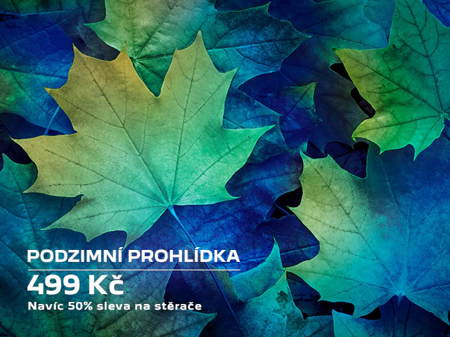 PODZIMNÍ PROHLÍDKA